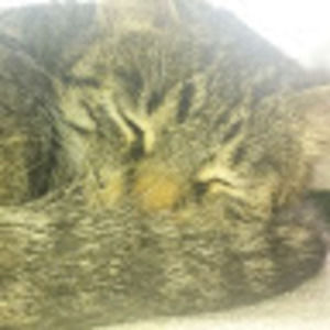 Meet your Posher, Meagan